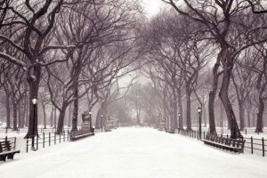 Top 9 Cách giữ gìn sức khỏe trong mùa đông
