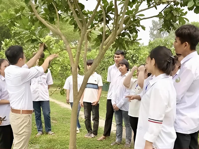 Trường Nào Dạy Nghề Bảo Vệ Thực Vật Chất Lượng Tại Miền Trung? 9