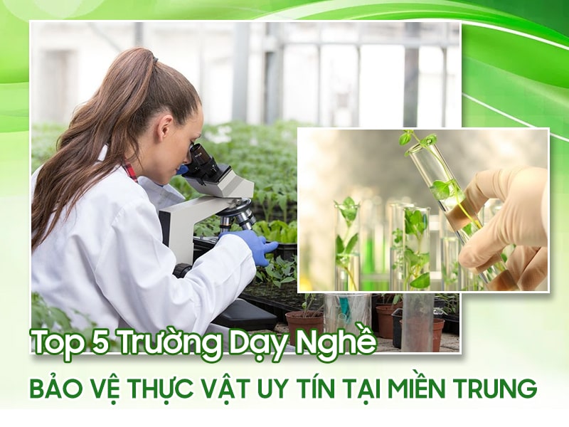 ngành bảo vệ thực vật