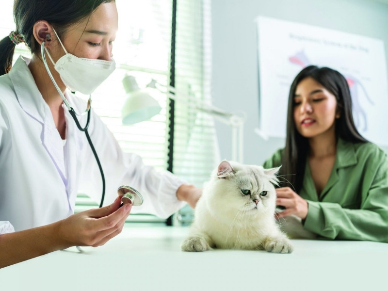 Học Nghề Thú Y Ở Đâu Tốt Nhất Tại Nghệ An? 6