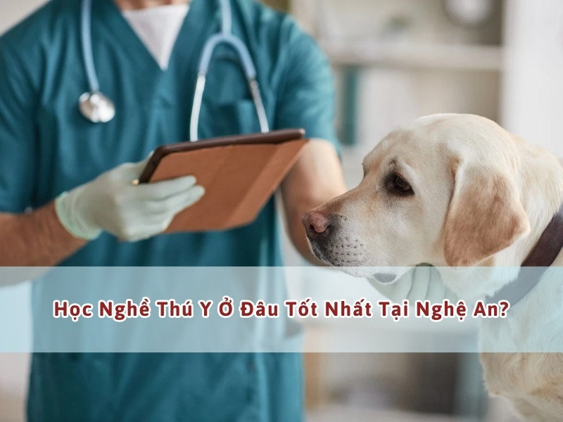học nghề thú y ở nghệ an
